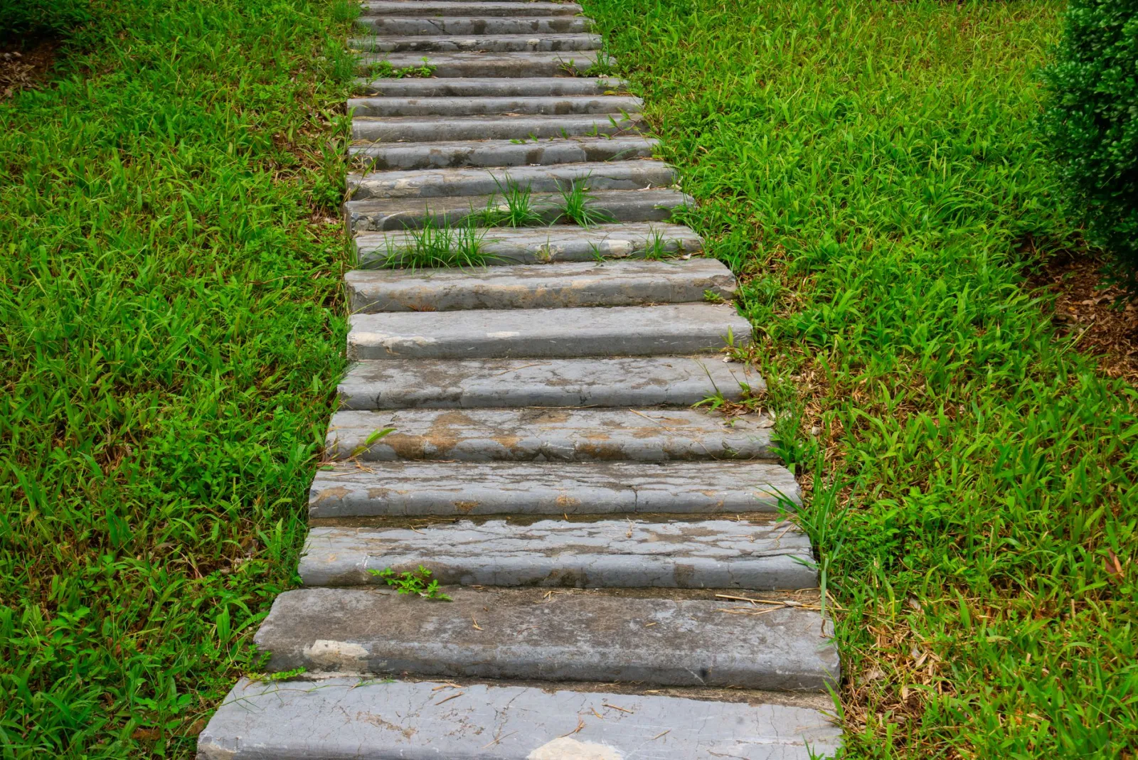 A stone walkway amidst vibrant green grass, showcasing a serene outdoor path.